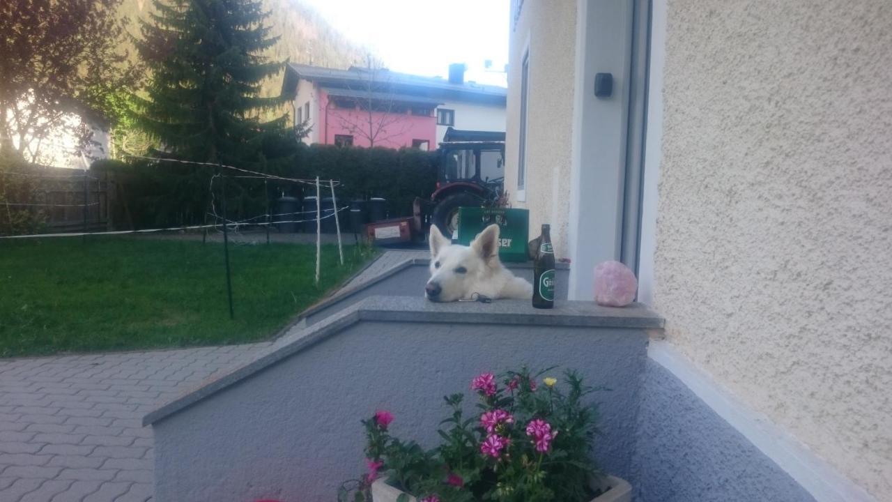 Parkvilla Apartment Mallnitz